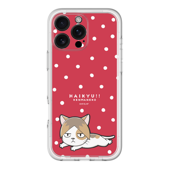 スリムプロテクションプレミアムケース［ ハイキュー!! - ケンマネコ ］