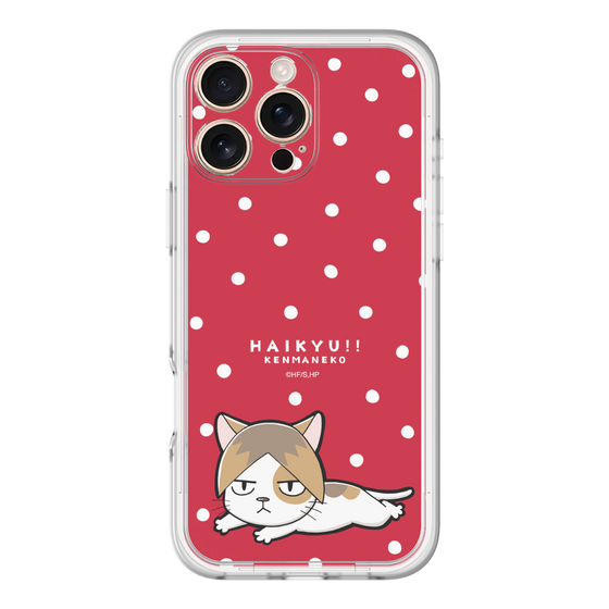 スリムプロテクションプレミアムケース［ ハイキュー!! - ケンマネコ ］