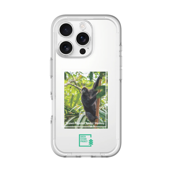 スリムプロテクションプレミアムケース［ Green Future Project - Brown-headed Spider Monkey ］