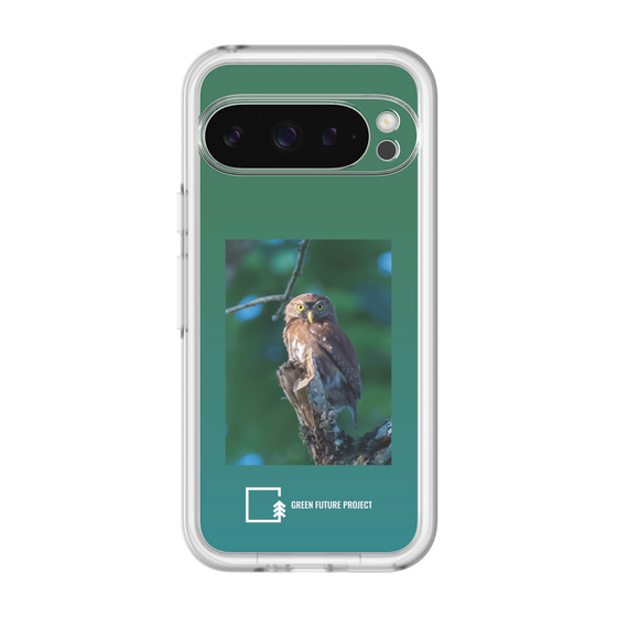スリムプロテクションプレミアムケース［ Green Future Project - Ferruginous Pygmy Owl ］