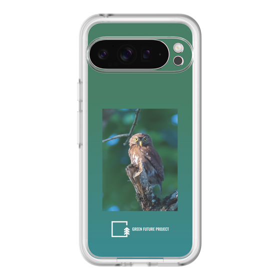 スリムプロテクションプレミアムケース［ Green Future Project - Ferruginous Pygmy Owl ］