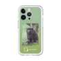 スリムプロテクションプレミアムケース［ Green Future Project - Black-mantled Tamarin ］