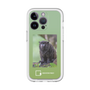 スリムプロテクションプレミアムケース［ Green Future Project - Black-mantled Tamarin ］