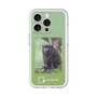 スリムプロテクションプレミアムケース［ Green Future Project - Black-mantled Tamarin ］