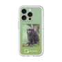 スリムプロテクションプレミアムケース［ Green Future Project - Black-mantled Tamarin ］