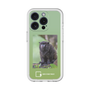 スリムプロテクションプレミアムケース［ Green Future Project - Black-mantled Tamarin ］