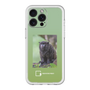 スリムプロテクションプレミアムケース［ Green Future Project - Black-mantled Tamarin ］