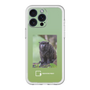 スリムプロテクションプレミアムケース［ Green Future Project - Black-mantled Tamarin ］