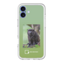 スリムプロテクションプレミアムケース［ Green Future Project - Black-mantled Tamarin ］