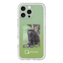 スリムプロテクションプレミアムケース［ Green Future Project - Black-mantled Tamarin ］