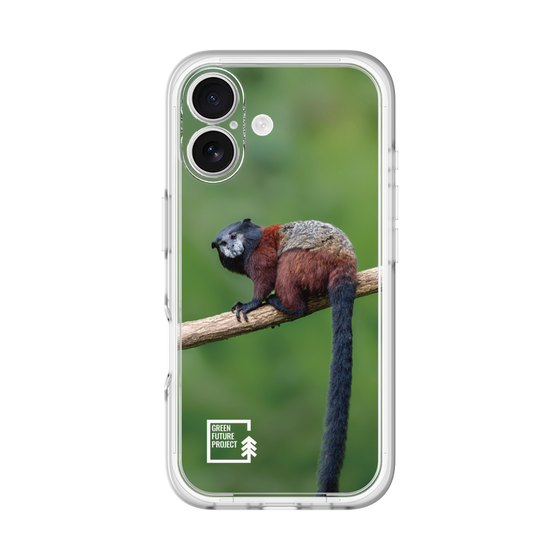 スリムプロテクションプレミアムケース［ Green Future Project - Saddle-backTamarin ］
