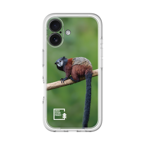スリムプロテクションプレミアムケース［ Green Future Project - Saddle-backTamarin ］