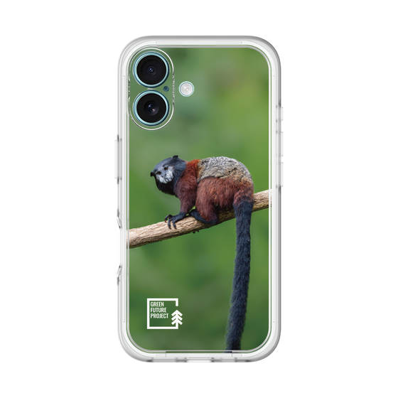 スリムプロテクションプレミアムケース［ Green Future Project - Saddle-backTamarin ］