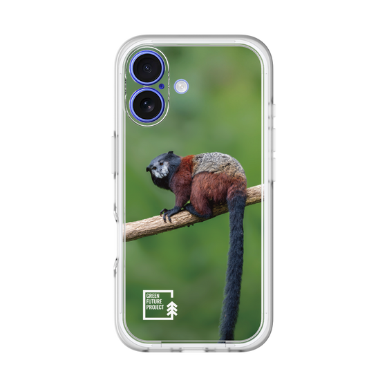 スリムプロテクションプレミアムケース［ Green Future Project - Saddle-backTamarin ］