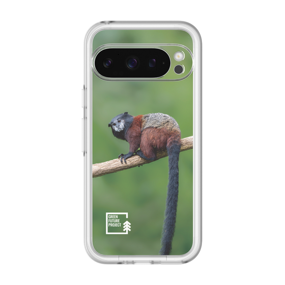 スリムプロテクションプレミアムケース［ Green Future Project - Saddle-backTamarin ］
