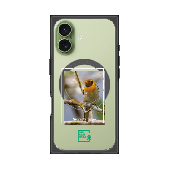 プレミアムスクエアケース with MagSafe［ Green Future Project - Guira Tanager ］