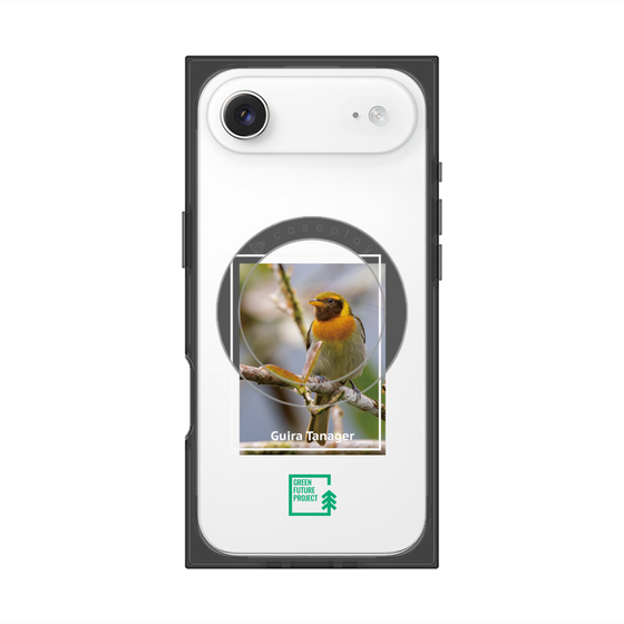 プレミアムスクエアケース with MagSafe［ Green Future Project - Guira Tanager ］