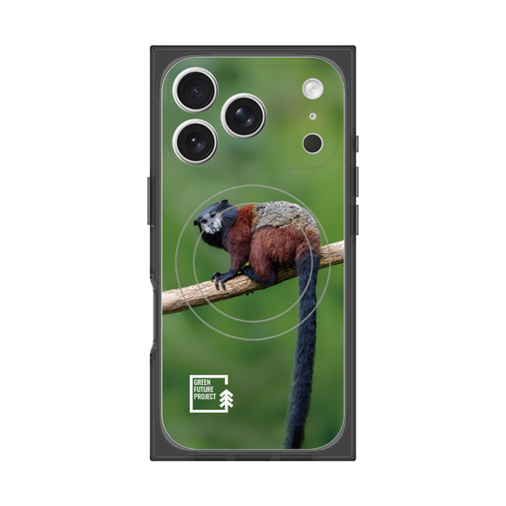 プレミアムスクエアケース with MagSafe［ Green Future Project - Saddle-backTamarin ］