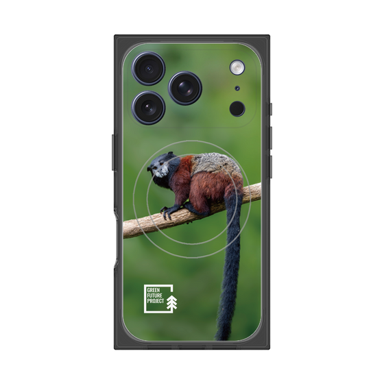 プレミアムスクエアケース with MagSafe［ Green Future Project - Saddle-backTamarin ］