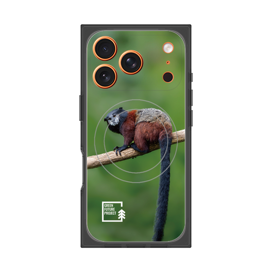 プレミアムスクエアケース with MagSafe［ Green Future Project - Saddle-backTamarin ］