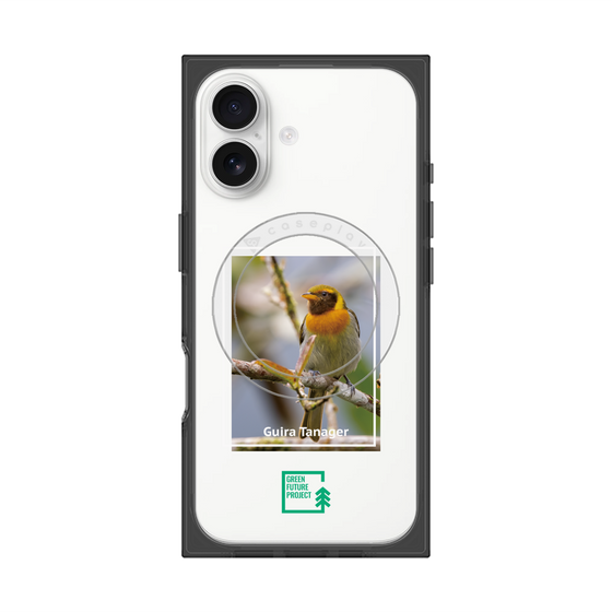 プレミアムスクエアケース with MagSafe［ Green Future Project - Guira Tanager ］