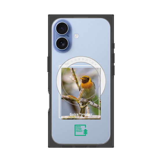 プレミアムスクエアケース with MagSafe［ Green Future Project - Guira Tanager ］