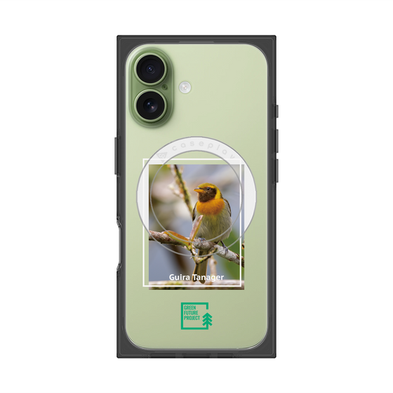 プレミアムスクエアケース with MagSafe［ Green Future Project - Guira Tanager ］