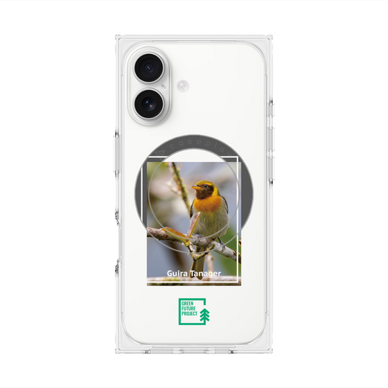 プレミアムスクエアケース with MagSafe［ Green Future Project - Guira Tanager ］