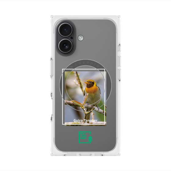プレミアムスクエアケース with MagSafe［ Green Future Project - Guira Tanager ］