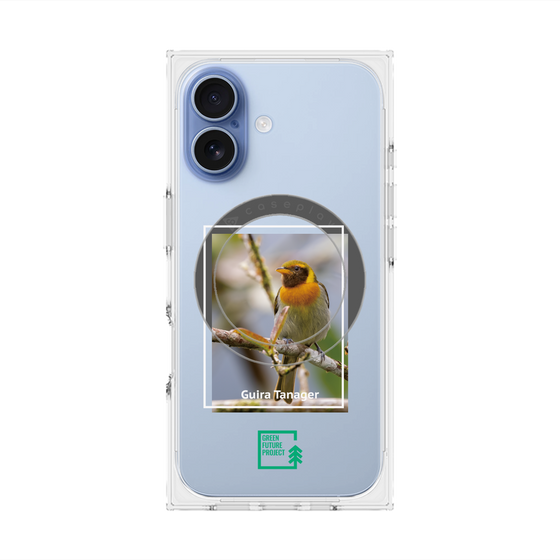 プレミアムスクエアケース with MagSafe［ Green Future Project - Guira Tanager ］