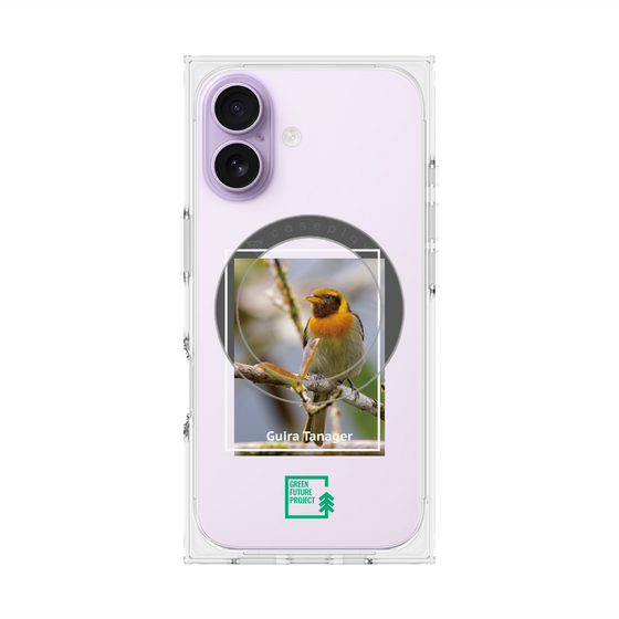 プレミアムスクエアケース with MagSafe［ Green Future Project - Guira Tanager ］