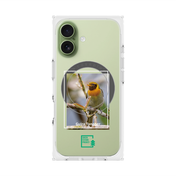 プレミアムスクエアケース with MagSafe［ Green Future Project - Guira Tanager ］