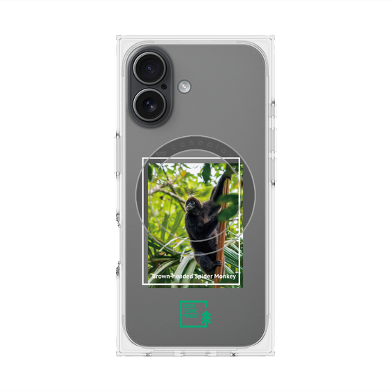 プレミアムスクエアケース with MagSafe［ Green Future Project - Brown-headed Spider Monkey ］