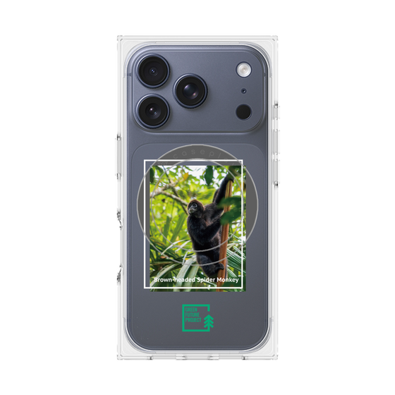 プレミアムスクエアケース with MagSafe［ Green Future Project - Brown-headed Spider Monkey ］