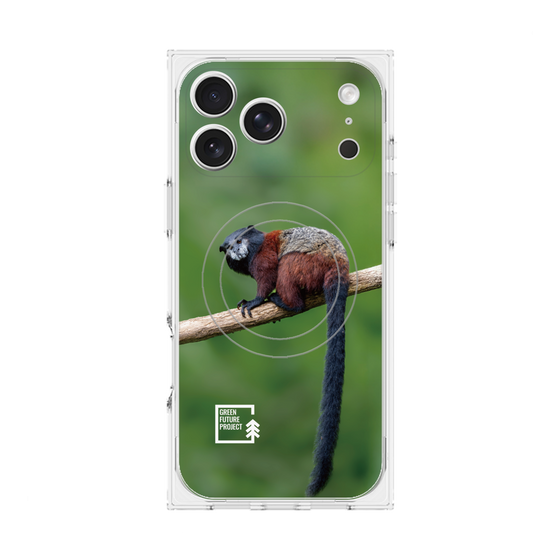 プレミアムスクエアケース with MagSafe［ Green Future Project - Saddle-backTamarin ］