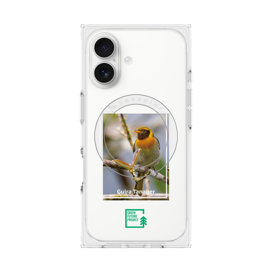 プレミアムスクエアケース with MagSafe［ Green Future Project - Guira Tanager ］
