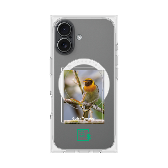 プレミアムスクエアケース with MagSafe［ Green Future Project - Guira Tanager ］