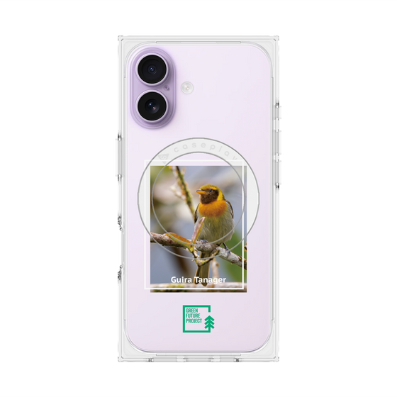 プレミアムスクエアケース with MagSafe［ Green Future Project - Guira Tanager ］