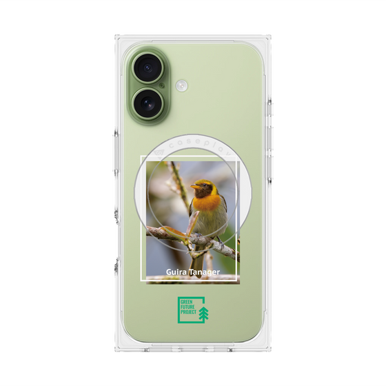 プレミアムスクエアケース with MagSafe［ Green Future Project - Guira Tanager ］