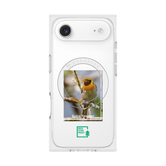プレミアムスクエアケース with MagSafe［ Green Future Project - Guira Tanager ］