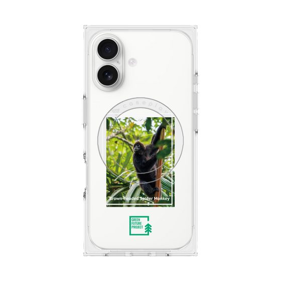 プレミアムスクエアケース with MagSafe［ Green Future Project - Brown-headed Spider Monkey ］