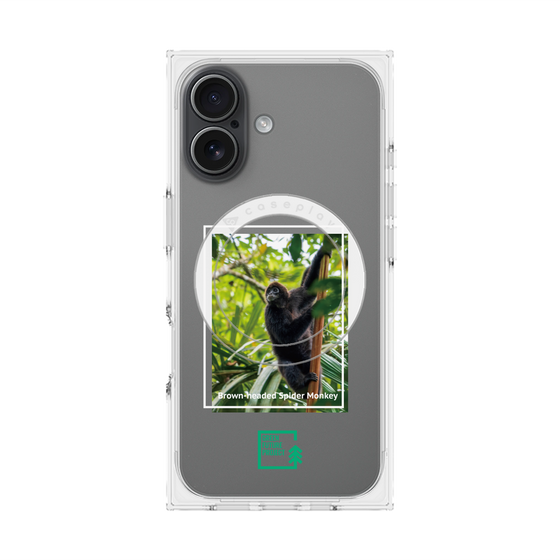 プレミアムスクエアケース with MagSafe［ Green Future Project - Brown-headed Spider Monkey ］