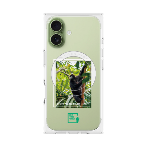 プレミアムスクエアケース with MagSafe［ Green Future Project - Brown-headed Spider Monkey ］