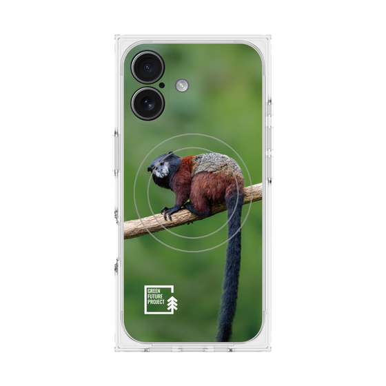 プレミアムスクエアケース with MagSafe［ Green Future Project - Saddle-backTamarin ］