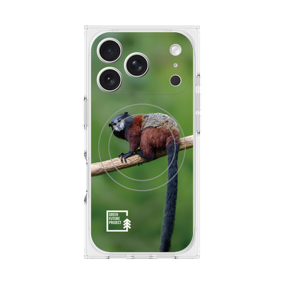 プレミアムスクエアケース with MagSafe［ Green Future Project - Saddle-backTamarin ］