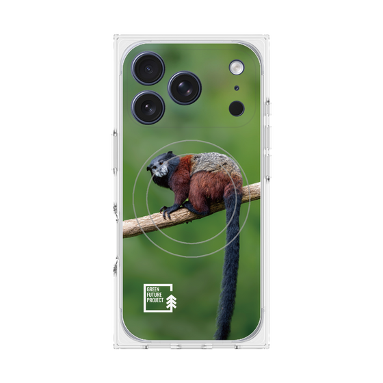 プレミアムスクエアケース with MagSafe［ Green Future Project - Saddle-backTamarin ］