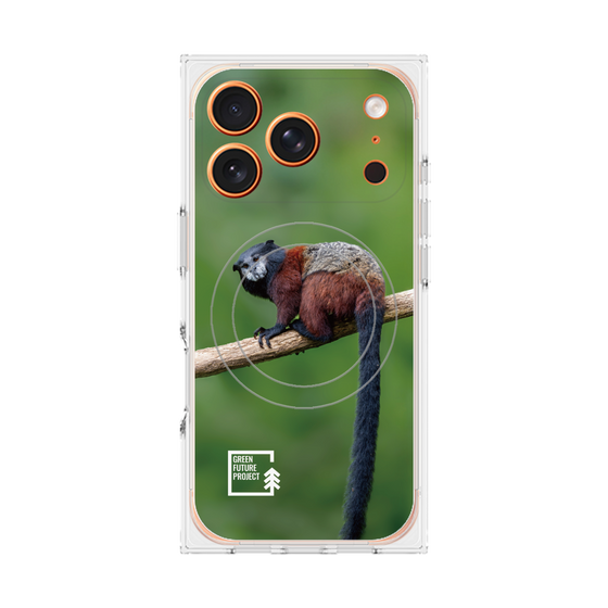 プレミアムスクエアケース with MagSafe［ Green Future Project - Saddle-backTamarin ］