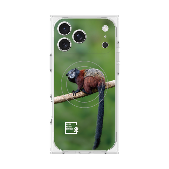 プレミアムスクエアケース with MagSafe［ Green Future Project - Saddle-backTamarin ］