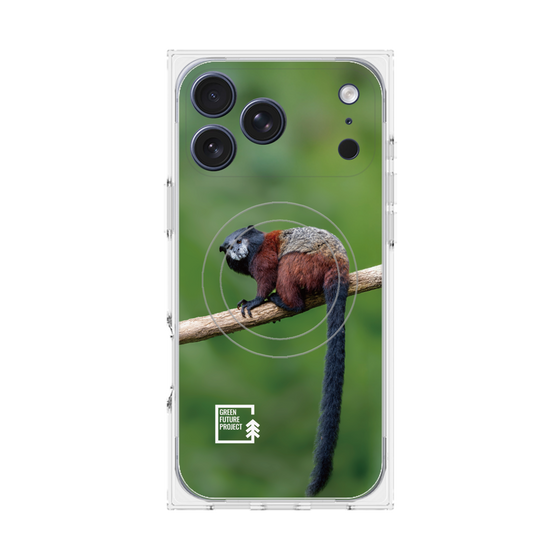 プレミアムスクエアケース with MagSafe［ Green Future Project - Saddle-backTamarin ］