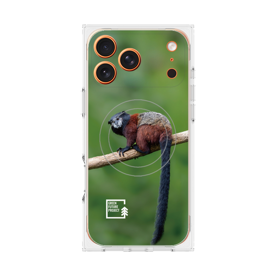 プレミアムスクエアケース with MagSafe［ Green Future Project - Saddle-backTamarin ］
